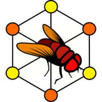 FruitFlyBrain